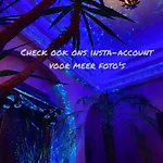 Agraba, 1001 Nights Lomm