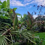 Agraba, 1001 Nights Bed & Breakfast 3*