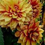 Bed & Breakfast Agraba, 1001 Nights