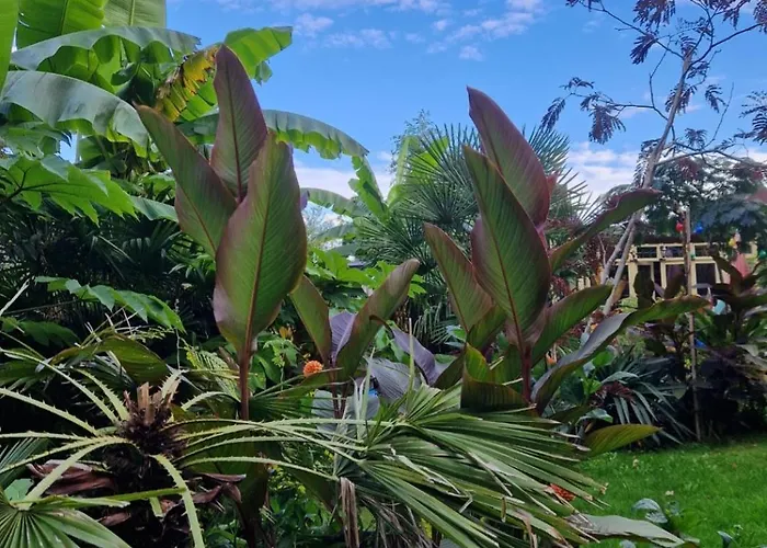 Agraba, 1001 Nights Bed & Breakfast 3*