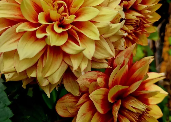 Bed & Breakfast Agraba, 1001 Nights