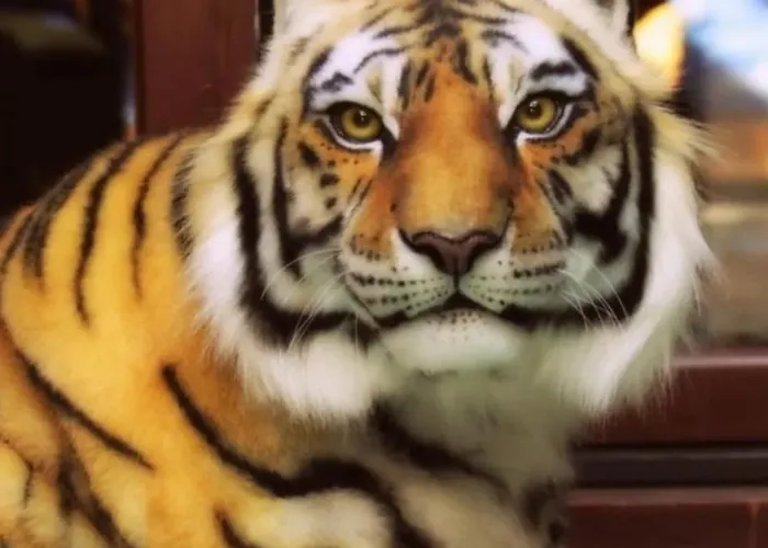 Agraba, 1001 Nights Bed & Breakfast Lomm