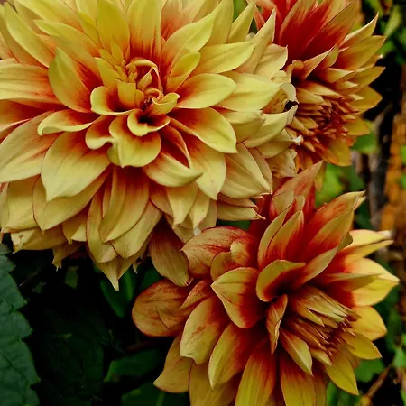 Bed & Breakfast Agraba, 1001 Nights