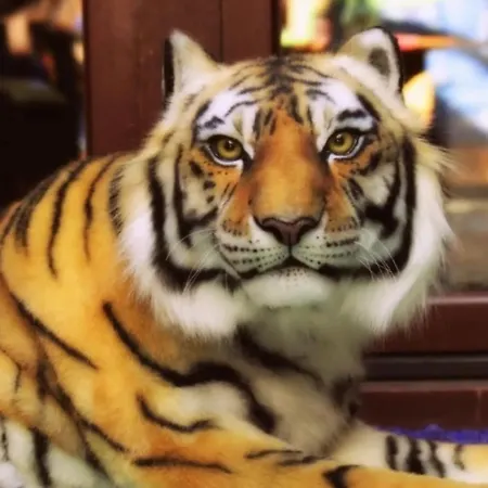 Agraba, 1001 Nights Bed & Breakfast Lomm